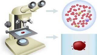 fumar e doar sangue para probas
